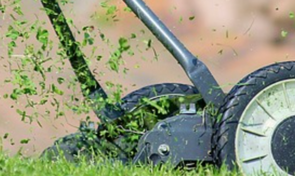 Lawn shop mower b&m